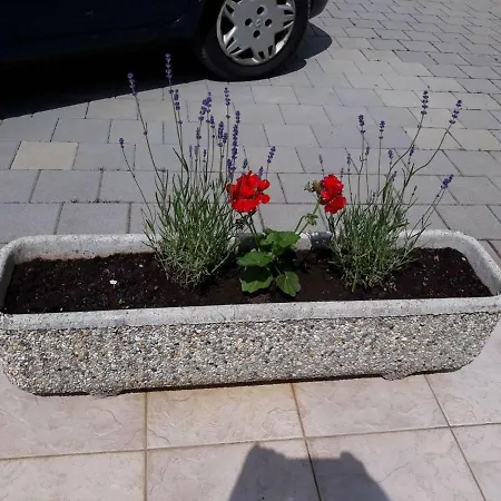 Apartment Viskovo Viskovo