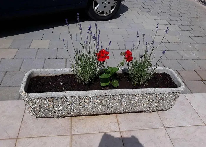 Apartment Viskovo Viskovo